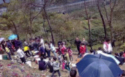 ����ѡ��Сѧ��ɨĹ���Ľ���5ƪ