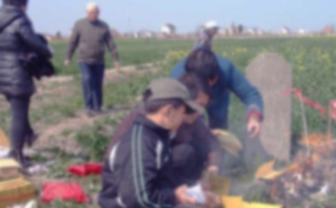 ��ѡСѧ��ɨĹ����300��5ƪ