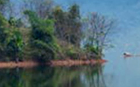 ɽˮ��������