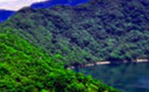 ɽˮ֮������