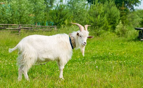 ����ɽ����ֳ��չ��Ȧ��֮·��˼��