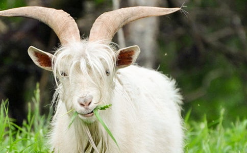 ��Сɽ��ʵ¼