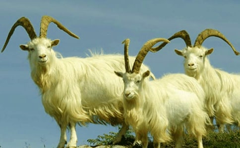 ��ѡСɽ��������ƪ