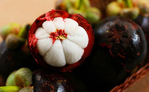 ����ɽ�����ļ�����15ƪ��