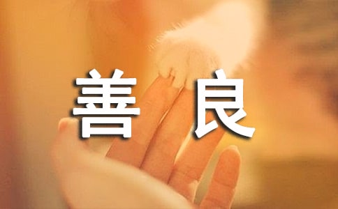 ���������ľ���