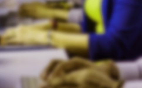 �������ո����ܽ�