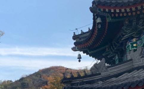 ����������ǧ�꡷�и�