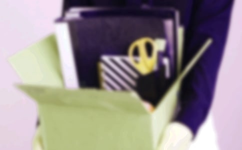 ʧҵ����2009�깤���ܽ᷶��