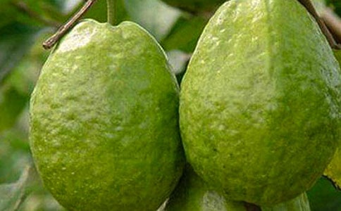 �����ʯ��������