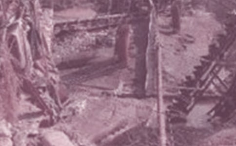 ʯ��ʵϰ�������5ƪ