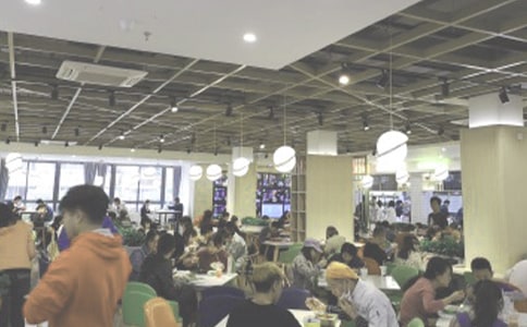 ����ʳ�ø������չ����ܽ�