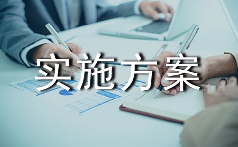 ���񻯹���ʵʩ����