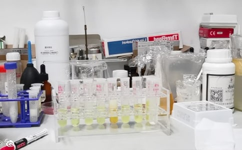 ����ʵ���ҹ����ƻ����7ƪ