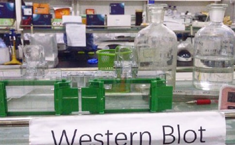 ʵ����ʵϰ�����ܽ�