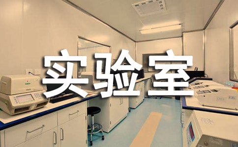 ����ʵ���Ұ�ȫ�Բ鱨�淶��