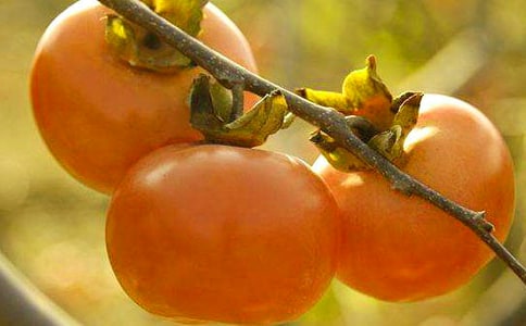 ժ��������400�֣�ͨ��46ƪ��