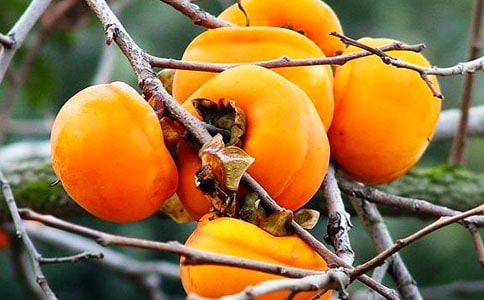 [�ϼ�]������������15ƪ