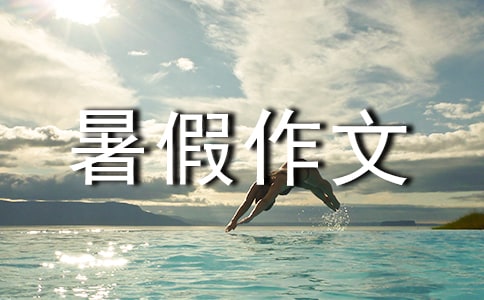 ����д���������