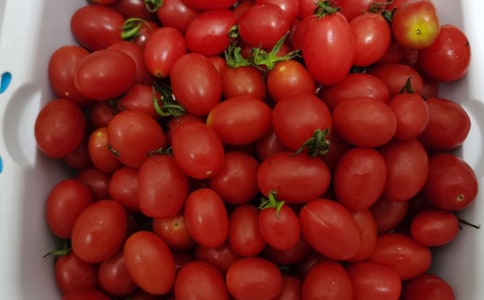 �а�����������ˮ�����̰�