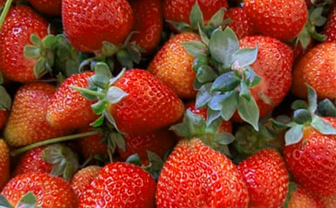 ��ˮ������������̰�15ƪ