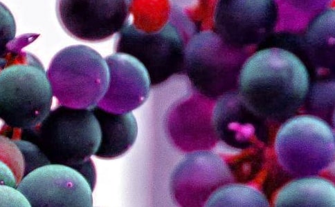 ��������̰���ˮ��