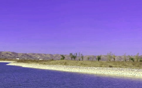 ȥˮ��ʵϰ����4ƪ