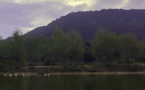 ˮ��Ԥʵϰ����3ƪ