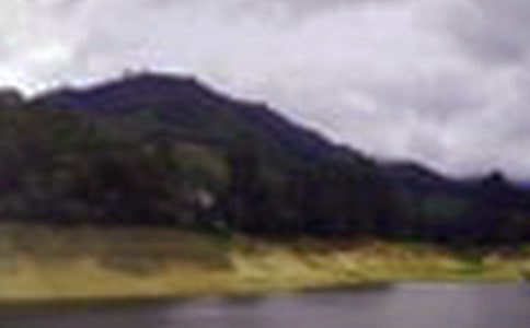 ˮ�����ո����ܽ�11ƪ