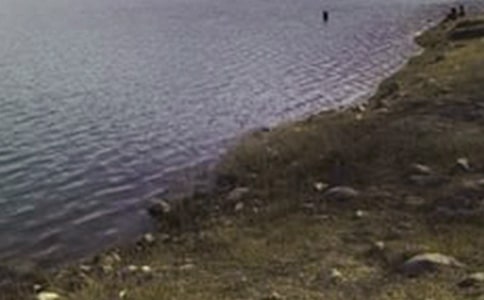 ˮ�����й��������ܽ�