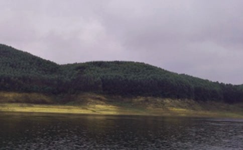 ˮ�������Ա�����ܽ�