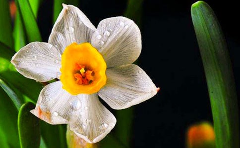 ��дˮ�ɵ���������ժ��