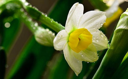 �������ˮ��Сѧ����