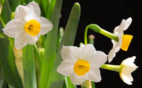 ˮ����������