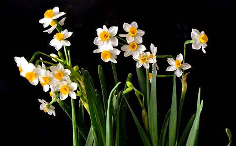 ������־�����ģ��߽�ˮ��