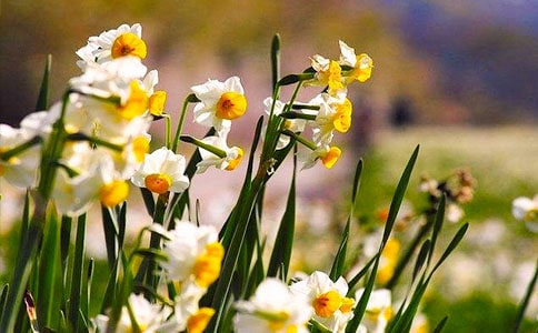 ˮ�ɻ�����