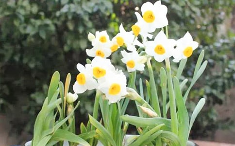 ˮ�ɻ��ľ�������