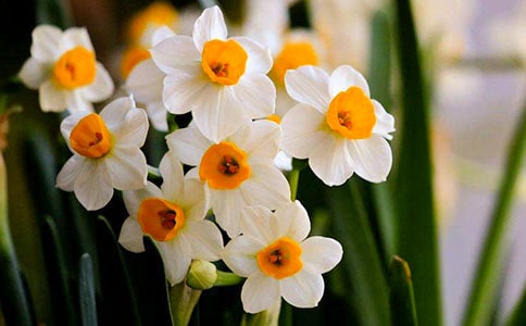 дˮ�ɻ�������100�֣���ѡ25ƪ��