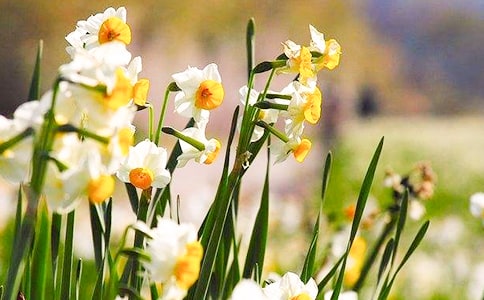 �Ҽҵ�ˮ�ɻ�����5ƪ