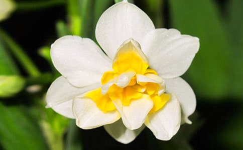 ˮ�ɻ����Ľ�����15ƪ��