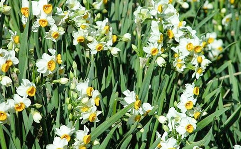 ˮ�ɻ��������ġ��ȡ�