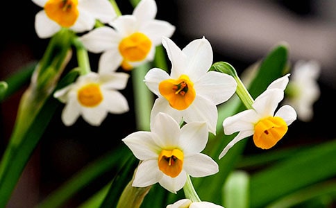 дˮ�ɻ�����15ƪ