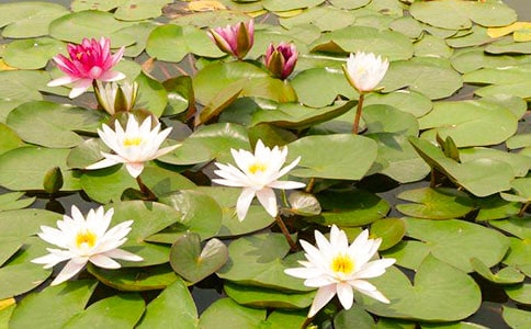 ˯����������