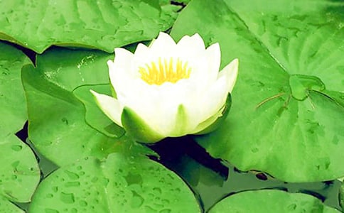 д������˯���������ģ���ѡ3ƪ��