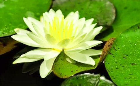 ��д˯�����������ģ�ͨ��35ƪ��