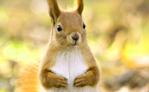 ������...