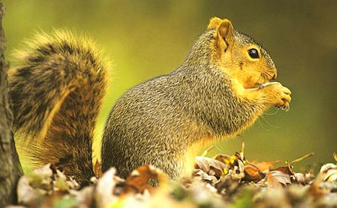 16��С�����һ����� ֮��