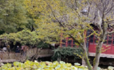 ������԰�֡� 2