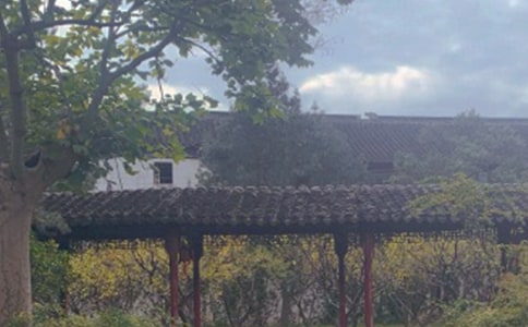 ������԰�֡� 4