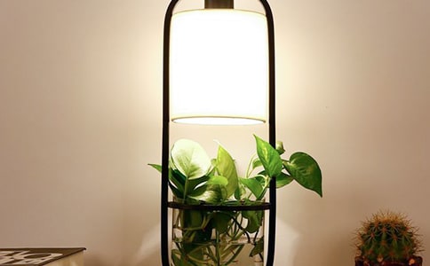 ���꼶�����ҵ�С̨��