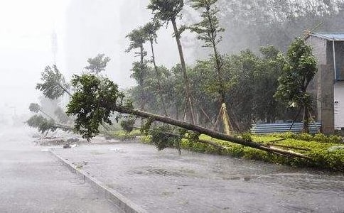 ����ڷ�̨��"ɽ��"�Ĺ����ܽ�